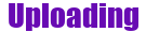 Website logo